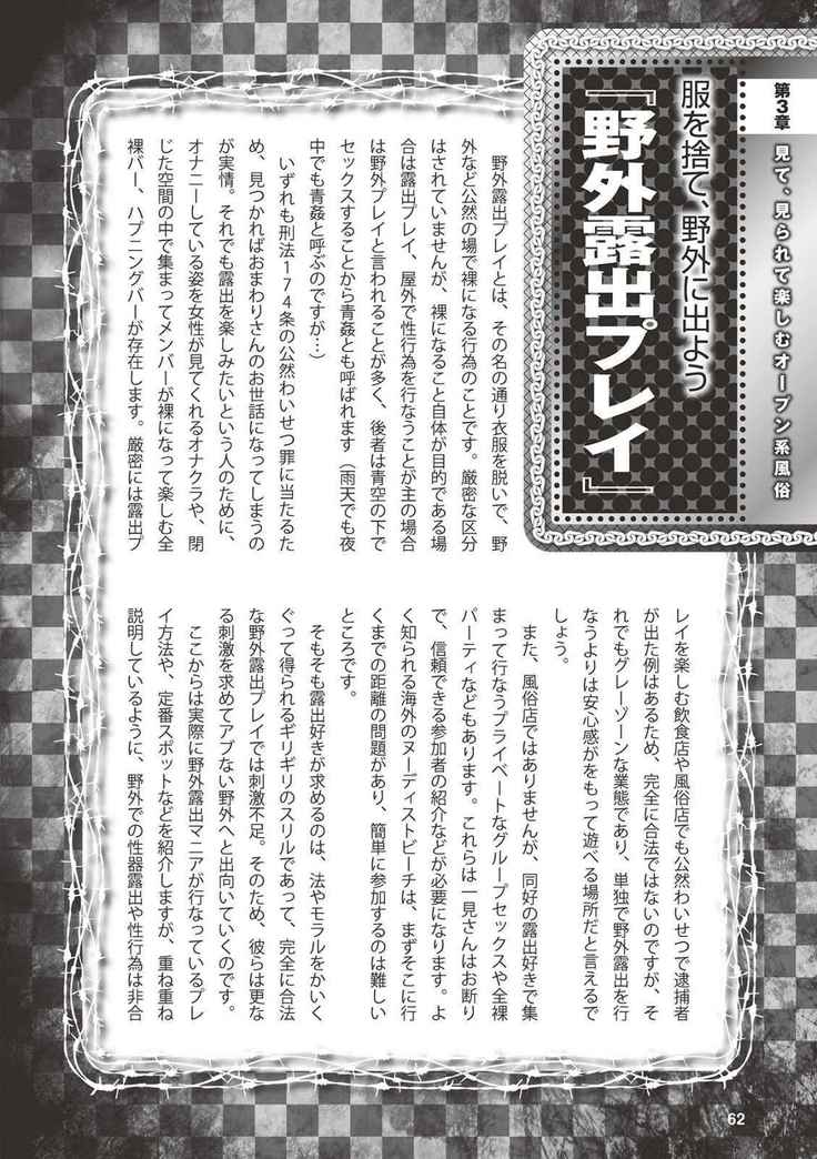 アブノーマル風俗入門 ラブドール風俗から、1000万円の風俗嬢まで