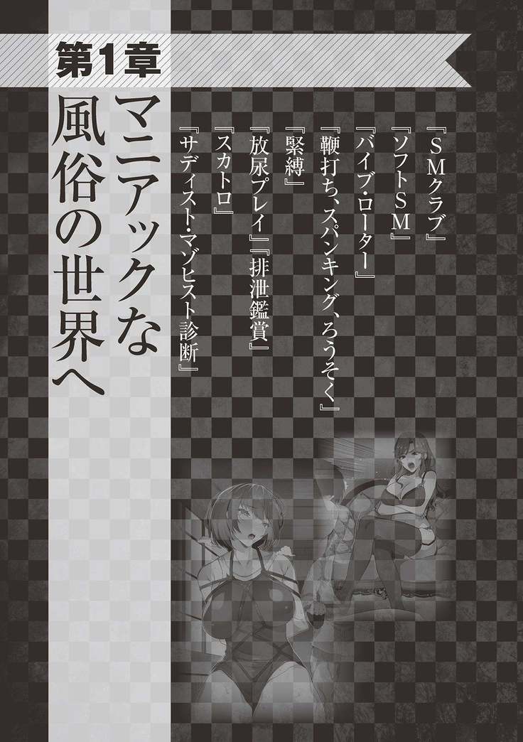 アブノーマル風俗入門 ラブドール風俗から、1000万円の風俗嬢まで