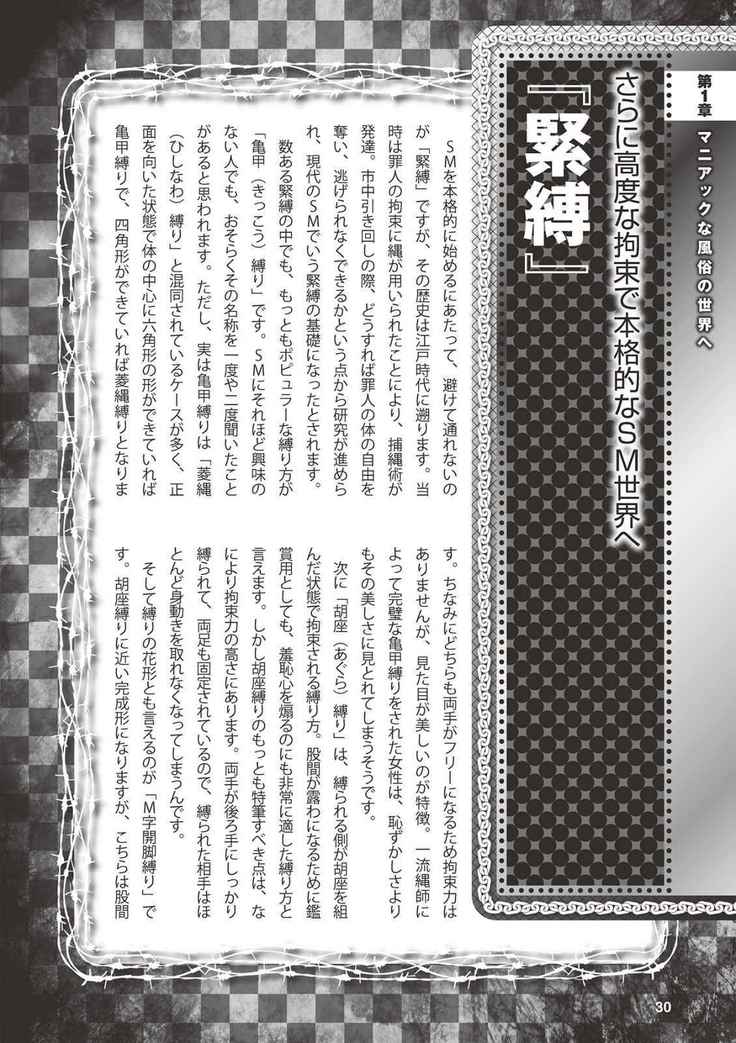 アブノーマル風俗入門 ラブドール風俗から、1000万円の風俗嬢まで