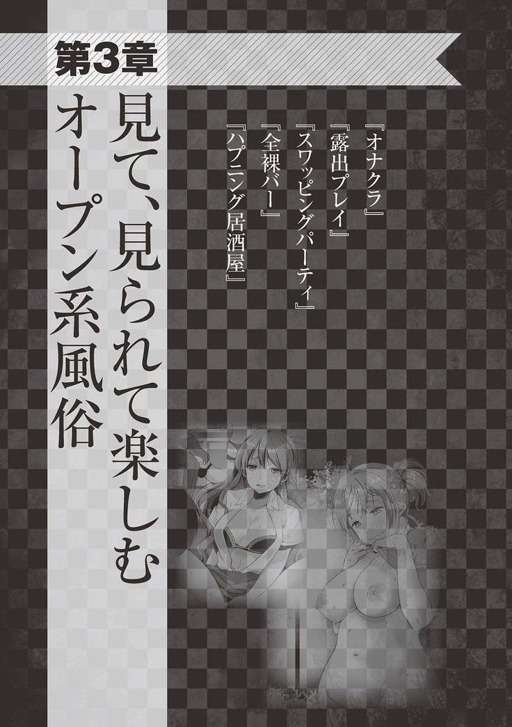 アブノーマル風俗入門 ラブドール風俗から、1000万円の風俗嬢まで