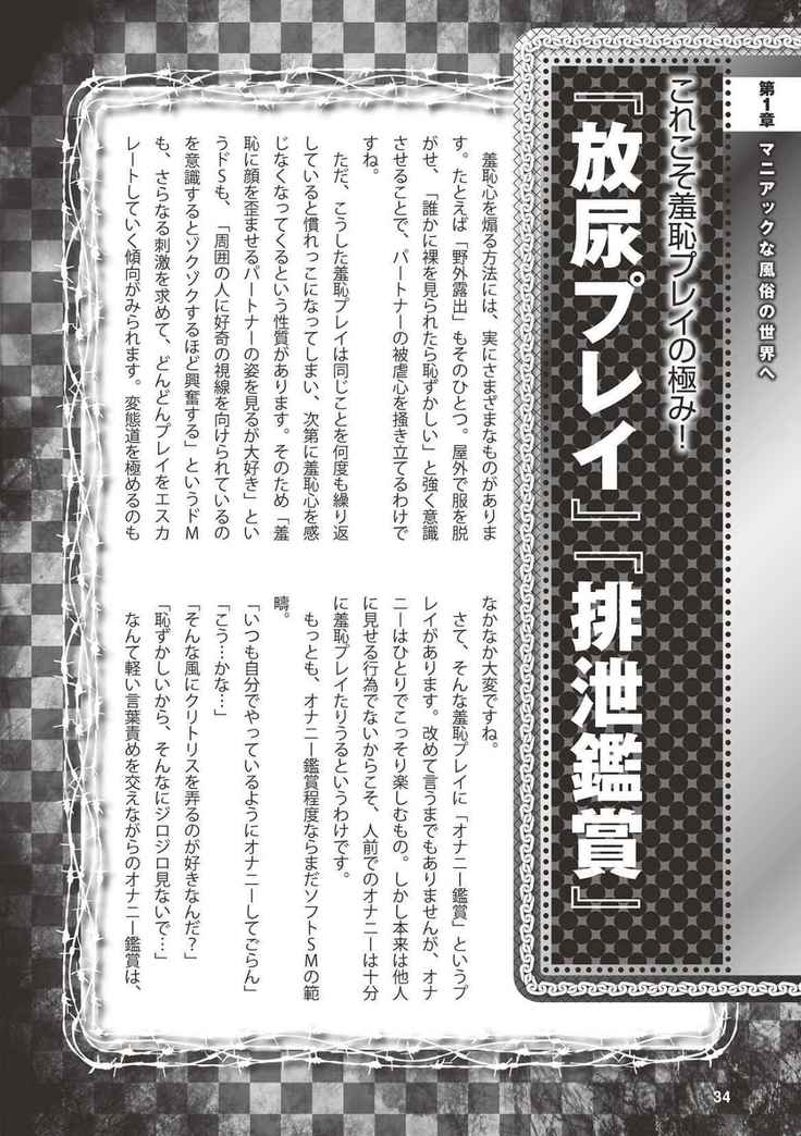 アブノーマル風俗入門 ラブドール風俗から、1000万円の風俗嬢まで