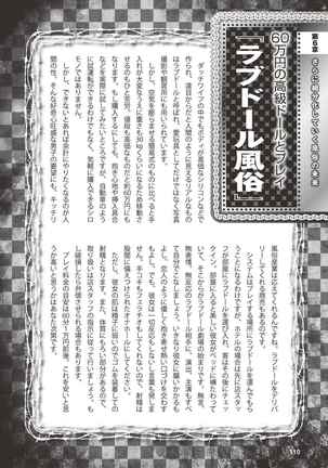 アブノーマル風俗入門 ラブドール風俗から、1000万円の風俗嬢まで Page #113