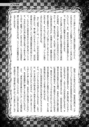 アブノーマル風俗入門 ラブドール風俗から、1000万円の風俗嬢まで Page #16