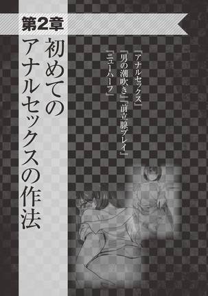 アブノーマル風俗入門 ラブドール風俗から、1000万円の風俗嬢まで Page #46