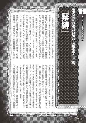 アブノーマル風俗入門 ラブドール風俗から、1000万円の風俗嬢まで Page #33