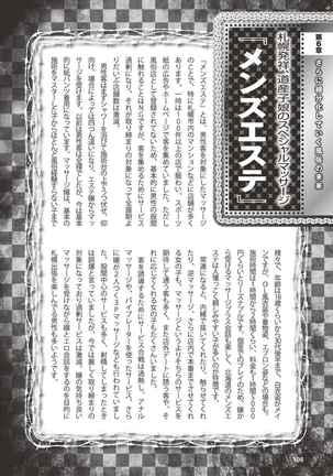 アブノーマル風俗入門 ラブドール風俗から、1000万円の風俗嬢まで Page #109