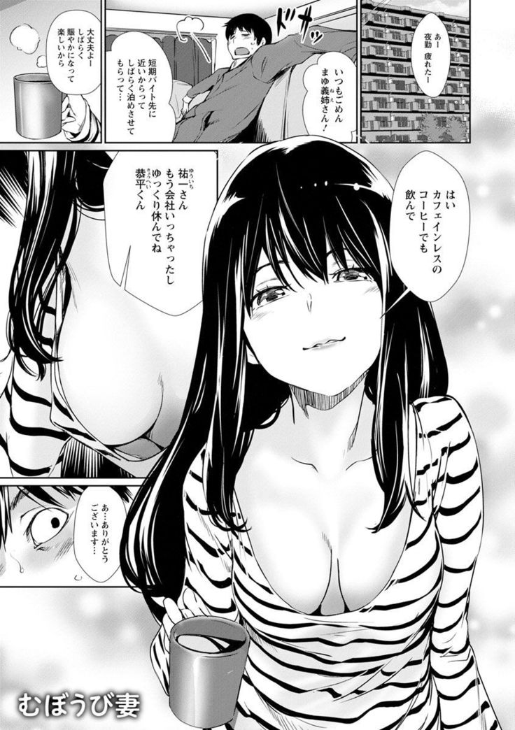 Sasoi Chichi