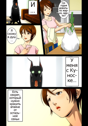 “Wonderful Life” ~Shufu to “Aiken” no Hisoyaka na Gogo~ - Page 13