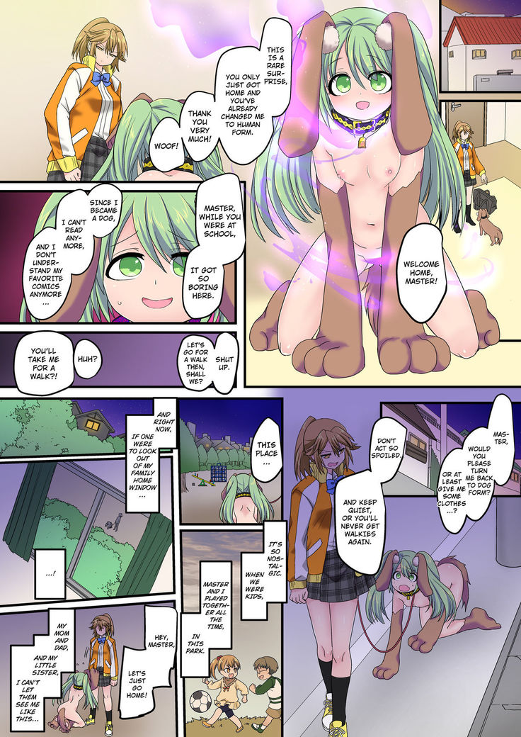 The Holy Band of the Jewel Knight