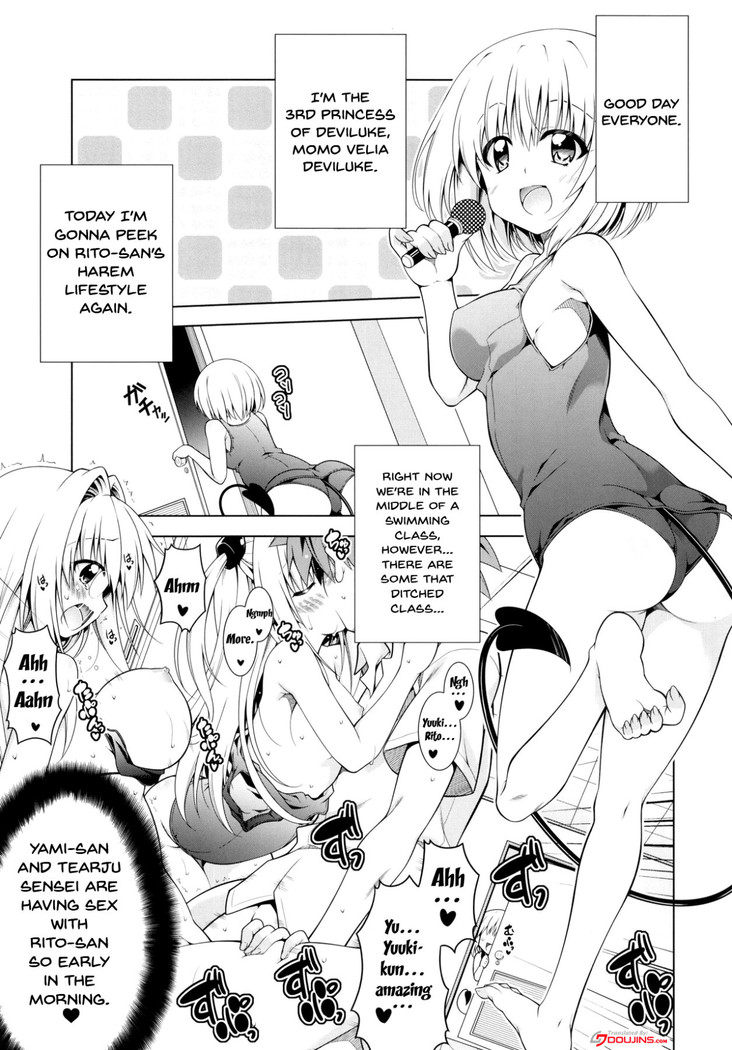 Rito-san no Harem Seikatsu 8 | Rito's Harem Lifestyle 8