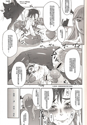 NIPPON Onna HEROINE 2 (Darkstalkers, Street Fighter II)[Chinese]【不可视汉化】 - Page 12