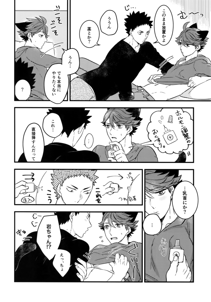 Iwachan no Neko ni Naritai Sairoku-Shuu