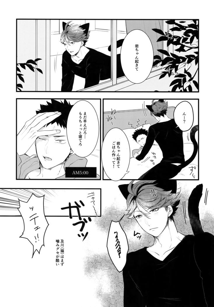 Iwachan no Neko ni Naritai Sairoku-Shuu