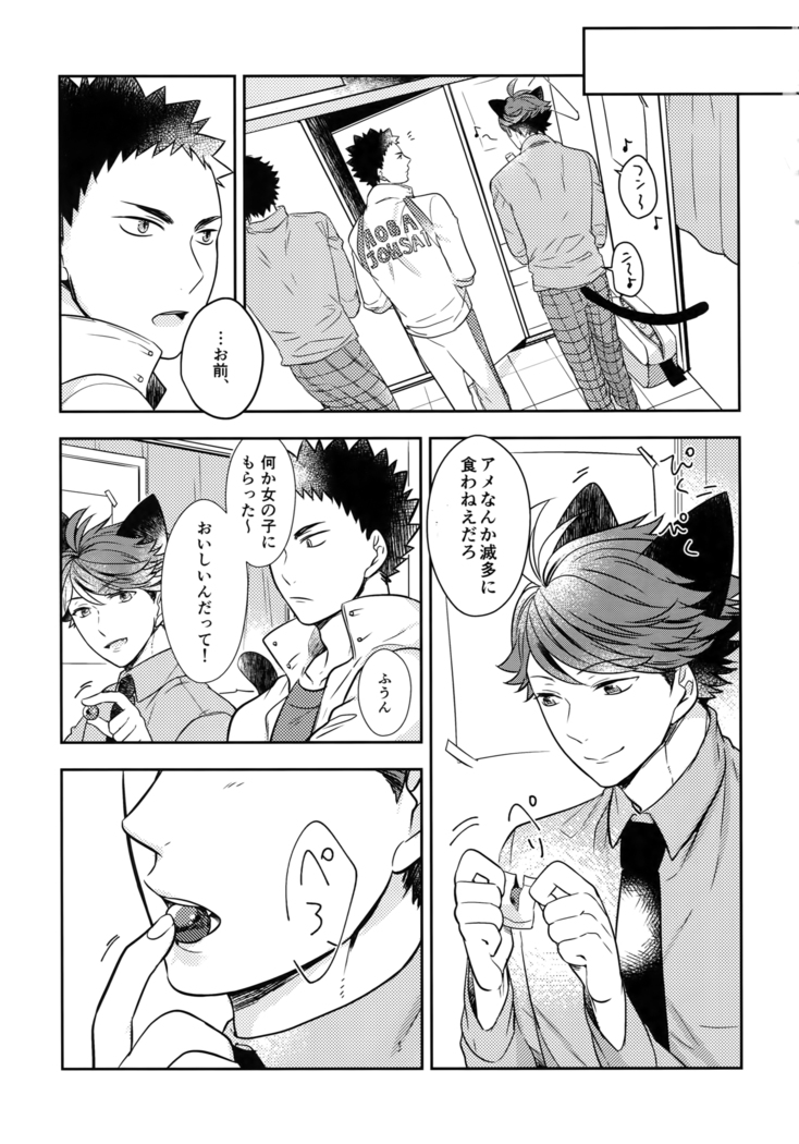 Iwachan no Neko ni Naritai Sairoku-Shuu