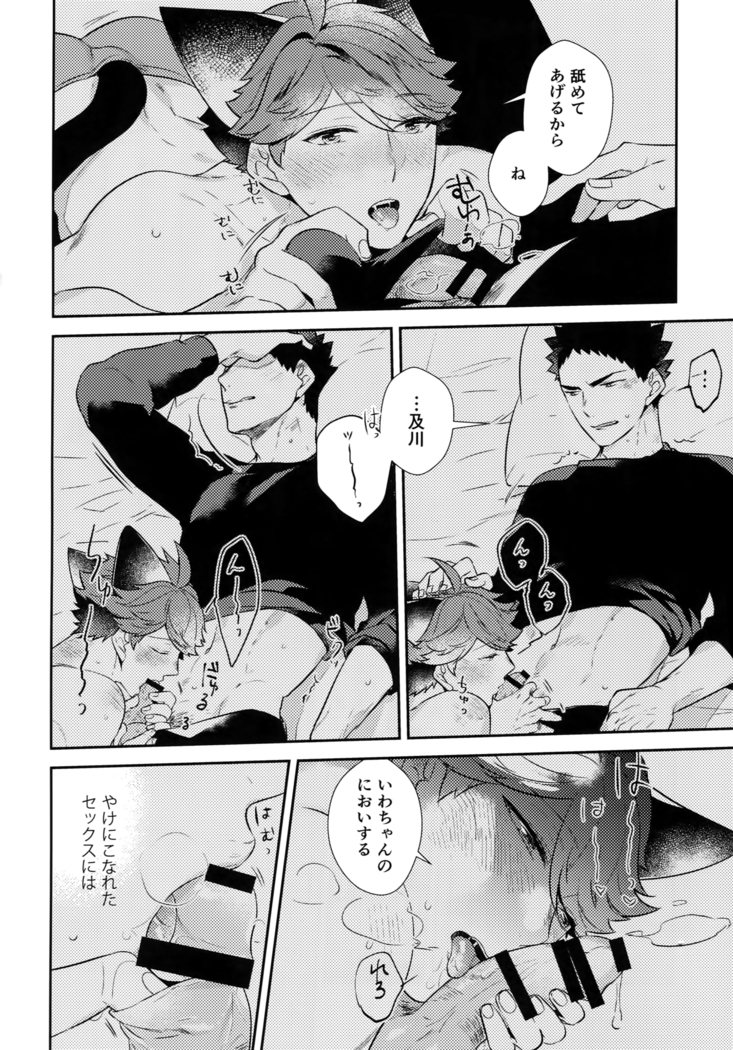 Iwachan no Neko ni Naritai Sairoku-Shuu