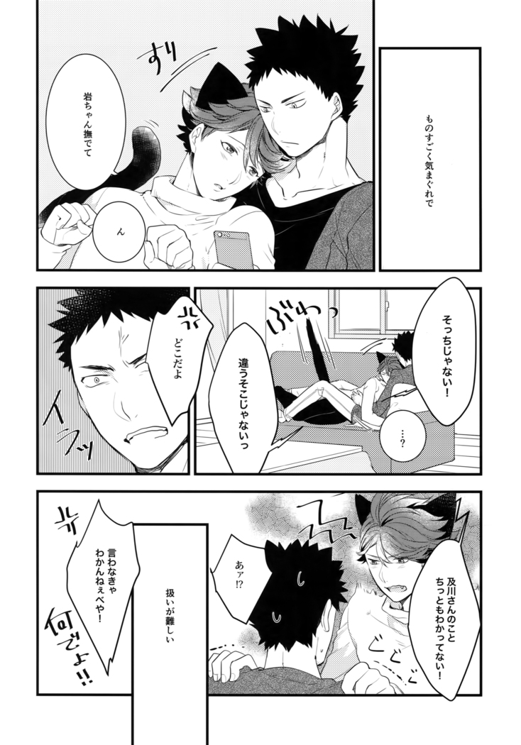 Iwachan no Neko ni Naritai Sairoku-Shuu