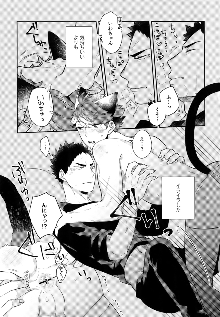 Iwachan no Neko ni Naritai Sairoku-Shuu