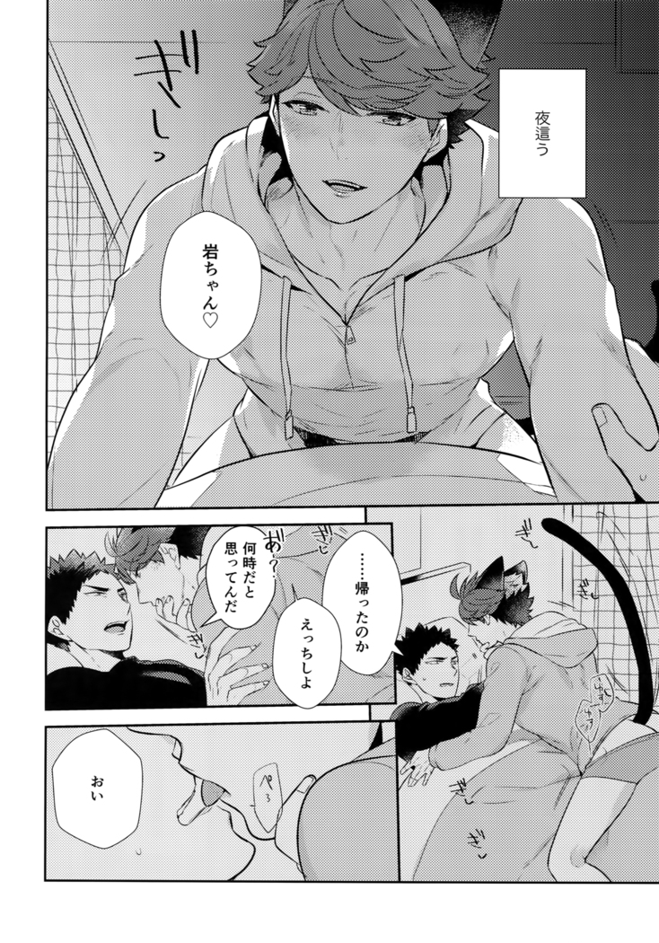 Iwachan no Neko ni Naritai Sairoku-Shuu
