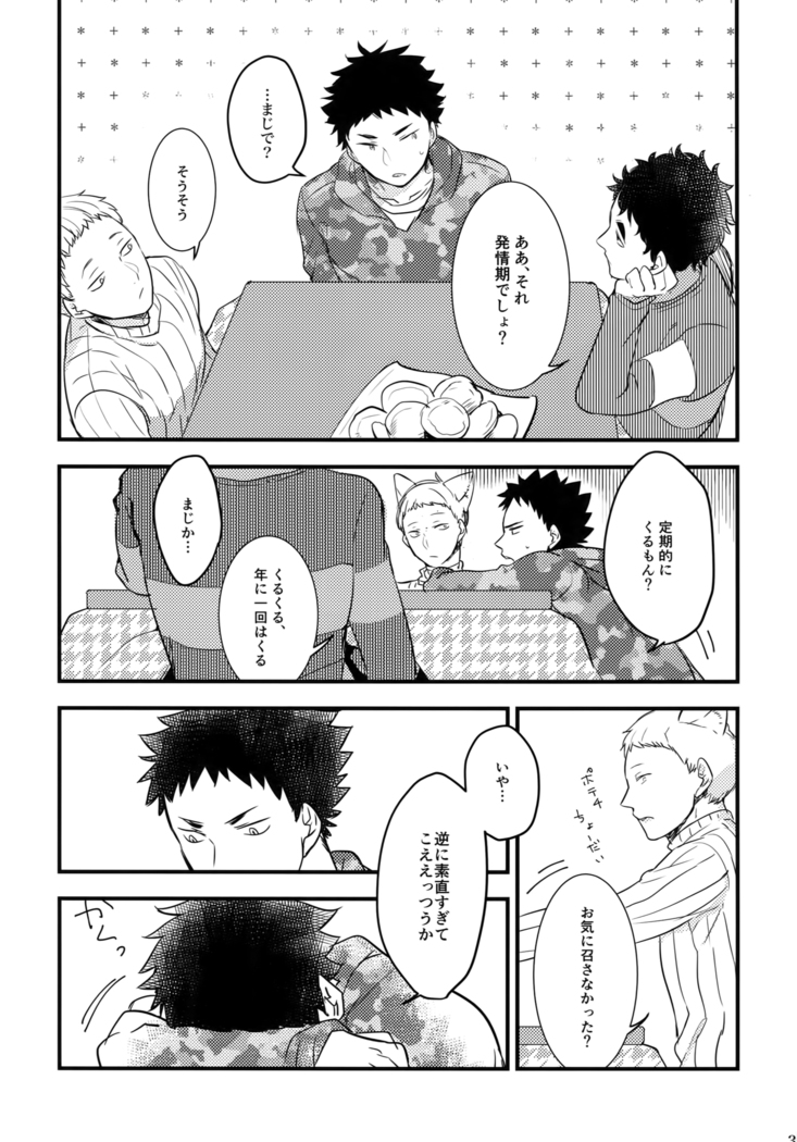 Iwachan no Neko ni Naritai Sairoku-Shuu