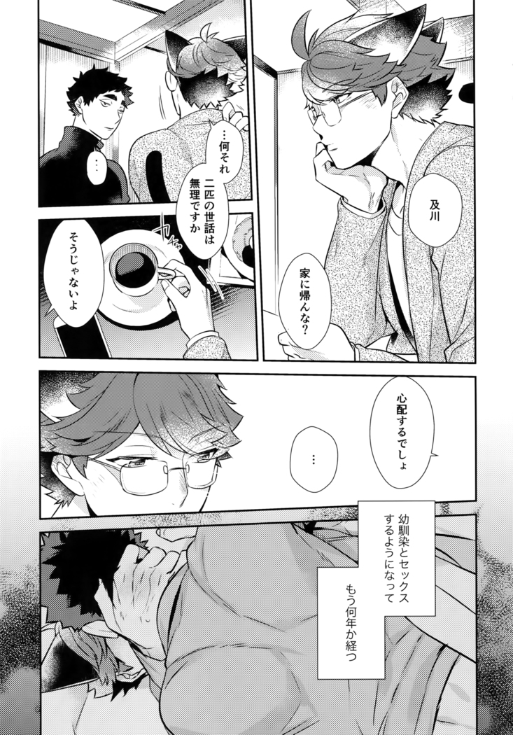 Iwachan no Neko ni Naritai Sairoku-Shuu