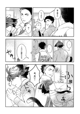 Iwachan no Neko ni Naritai Sairoku-Shuu Page #77