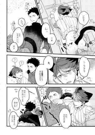 Iwachan no Neko ni Naritai Sairoku-Shuu Page #27