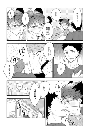 Iwachan no Neko ni Naritai Sairoku-Shuu Page #16