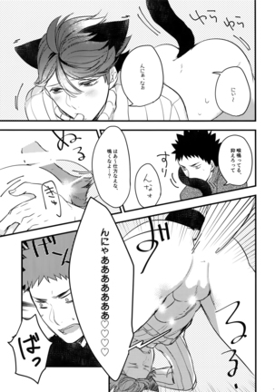 Iwachan no Neko ni Naritai Sairoku-Shuu Page #24