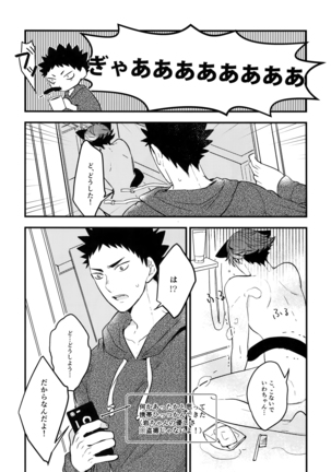 Iwachan no Neko ni Naritai Sairoku-Shuu Page #42