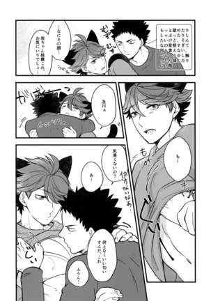 Iwachan no Neko ni Naritai Sairoku-Shuu Page #68
