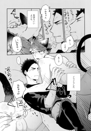 Iwachan no Neko ni Naritai Sairoku-Shuu Page #142