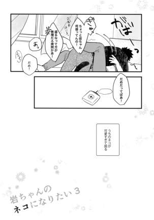 Iwachan no Neko ni Naritai Sairoku-Shuu Page #57