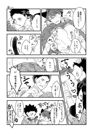 Iwachan no Neko ni Naritai Sairoku-Shuu Page #52