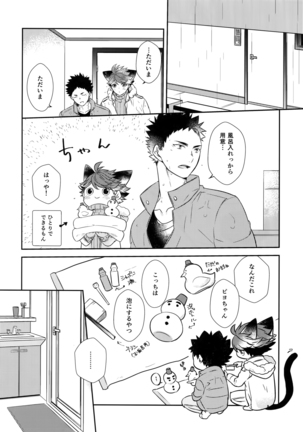 Iwachan no Neko ni Naritai Sairoku-Shuu Page #109