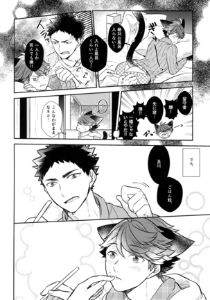 Iwachan no Neko ni Naritai Sairoku-Shuu Page #103