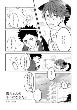 Iwachan no Neko ni Naritai Sairoku-Shuu Page #43