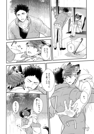 Iwachan no Neko ni Naritai Sairoku-Shuu Page #105