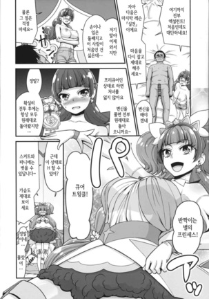 Go! Kirakira Princess Lesson! - Page 15