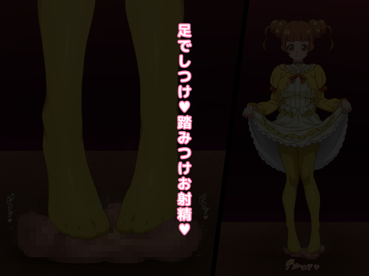 Ojou-sama no Oshasei Pet