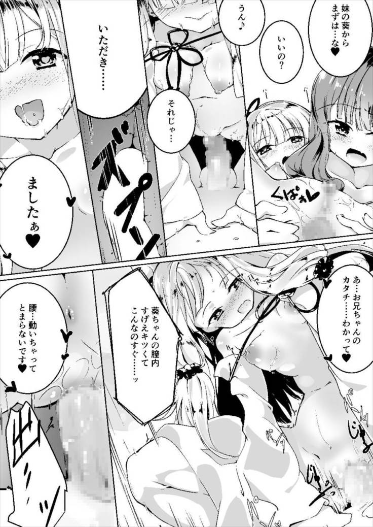 コトノハラバーズ vol.03 【琴葉姉妹初期設定マニュアル】