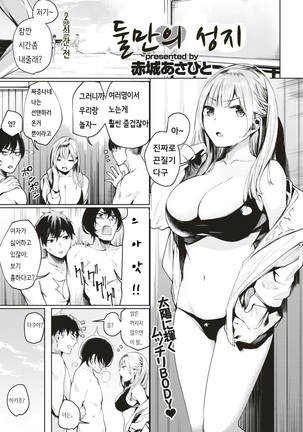 Image 4061960