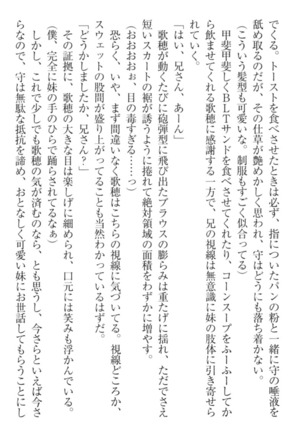 過保護な妹は兄さんが好きすぎて毎日エロエロ甘やかしたいっ! Page #208