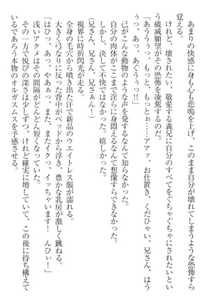 過保護な妹は兄さんが好きすぎて毎日エロエロ甘やかしたいっ! Page #238
