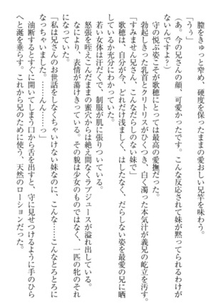 過保護な妹は兄さんが好きすぎて毎日エロエロ甘やかしたいっ! Page #313