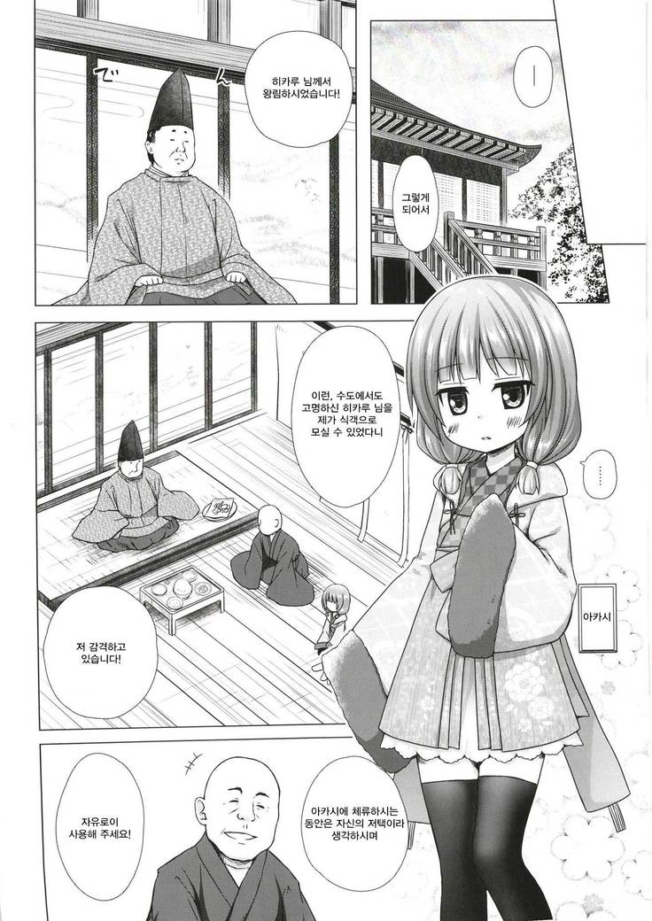 Hikari no Kimi no Saganaki Keikaku <Akashi>