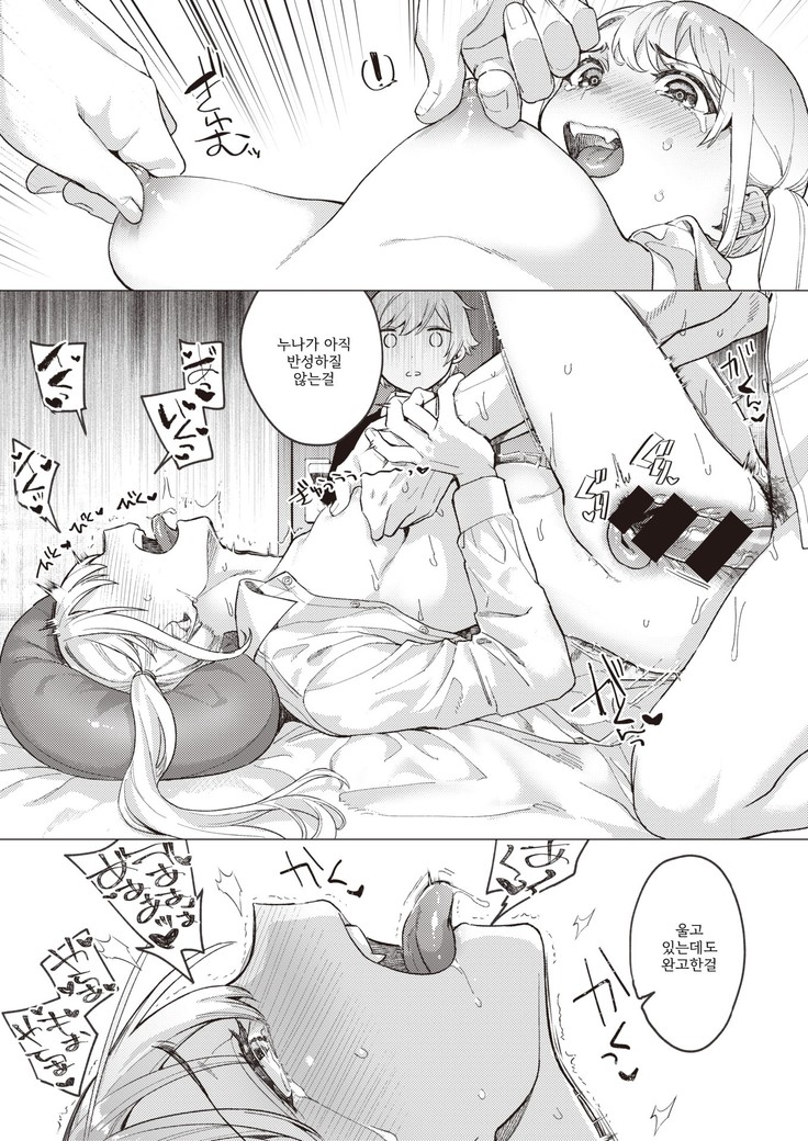 Onee-chan o Korashimetai! | 누나를 혼내주고싶어!