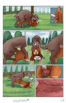 Lady & The Tramp