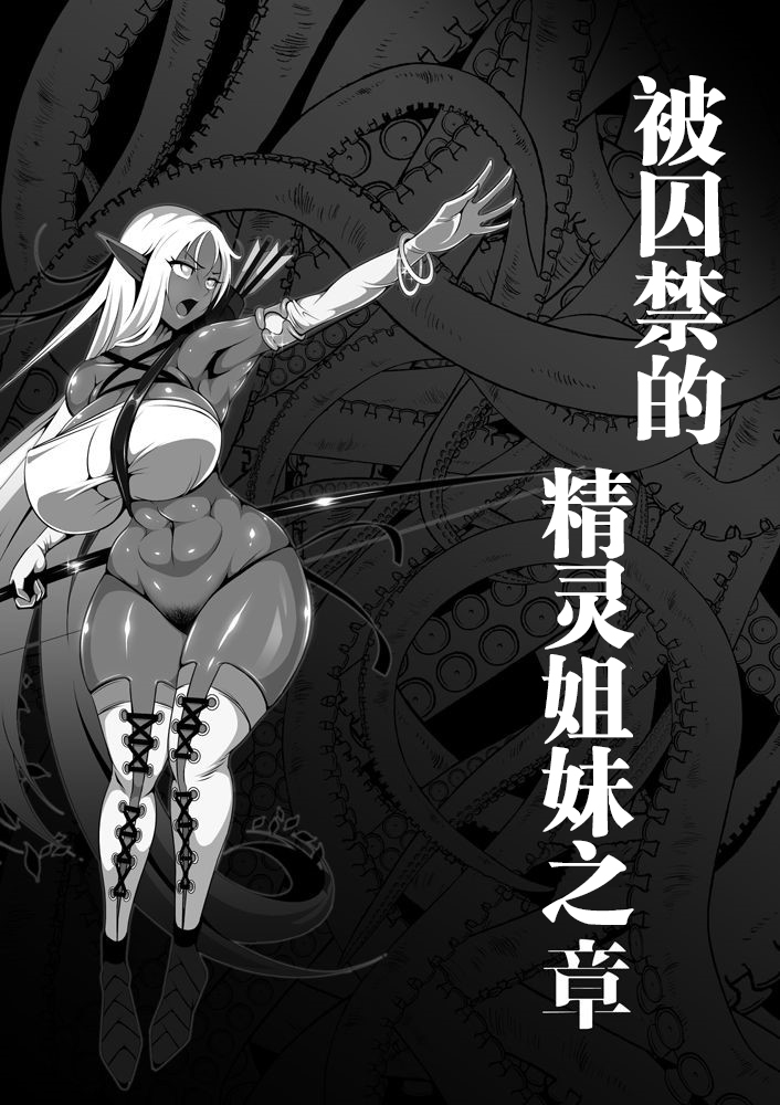 Inmon Akuochi no Hime Kishidan【不可视汉化】