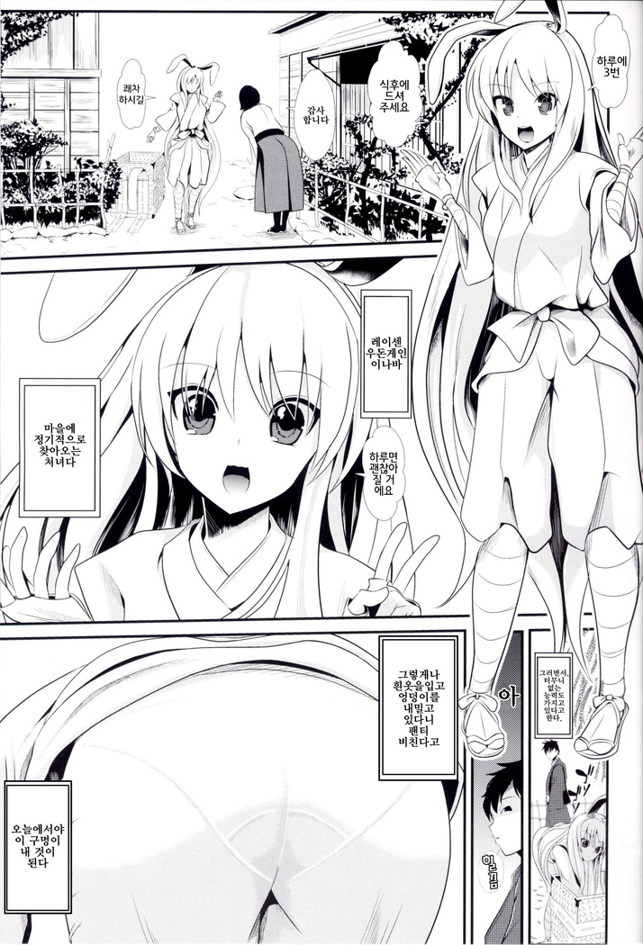 Touhou Jikan 13 Reisen Udongein Inaba