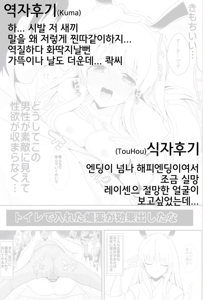 Touhou Jikan 13 Reisen Udongein Inaba